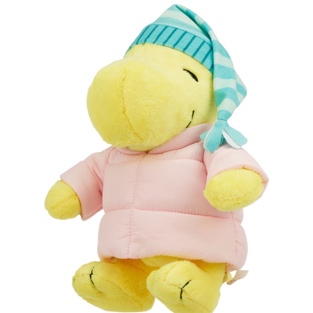 Viral CVS woodstock winter puffer jacket